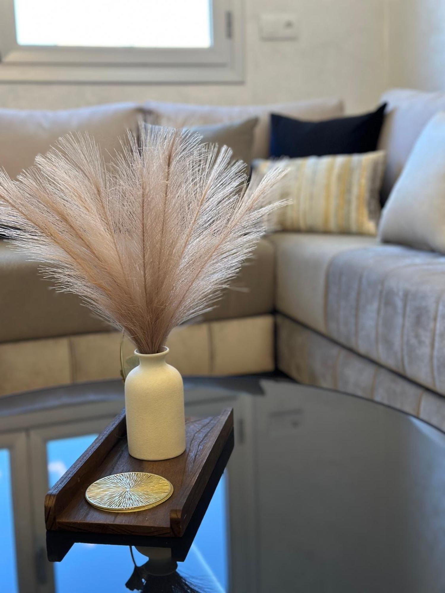 Luxe Appartement ברקיין מראה חיצוני תמונה