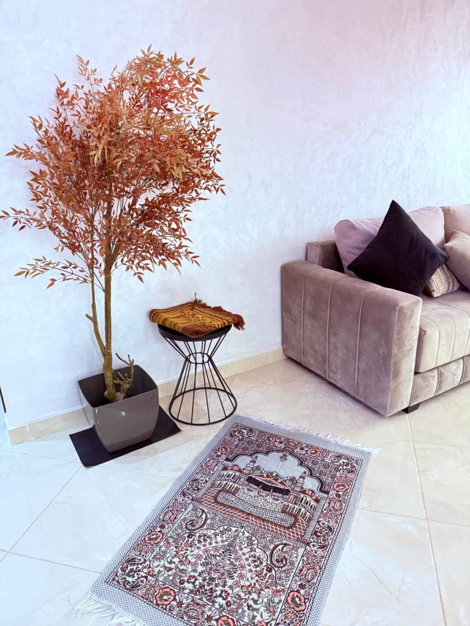 Luxe Appartement ברקיין מראה חיצוני תמונה